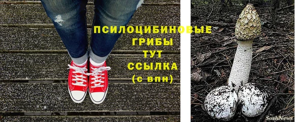 амф Алексеевка