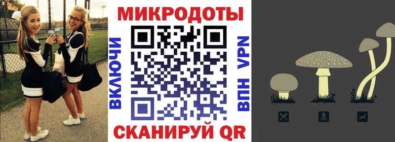 дарнет шоп мега рабочий сайт Псилоцибиновые грибы Cubensis Новоалтайск